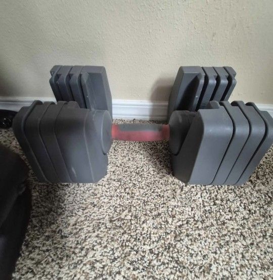 Dumbbell 45 lbs. Just one dumbbell