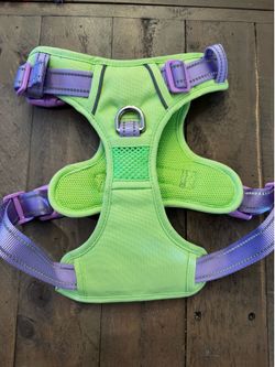 Phoepet No-Pull Dog Harness (Size Medium) - Lime Green & Purple