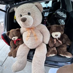 5 Ft Teddy Bear And Pals 
