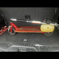 Goped Sport 