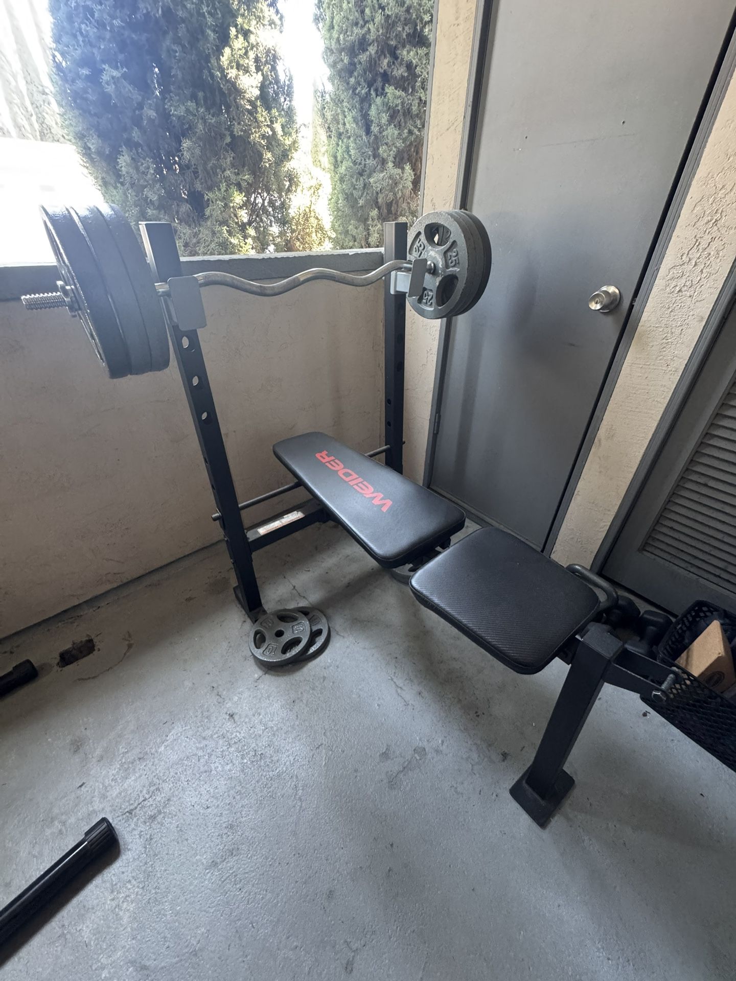 Weights, Curl Bar And Bench