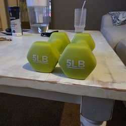 5 Pound Weights 