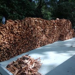 FIREWOOD SALE $20.00 PER WHEELBARREL 