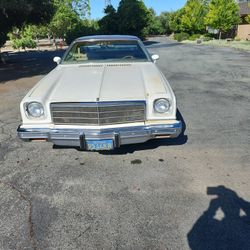 1974 El Camino