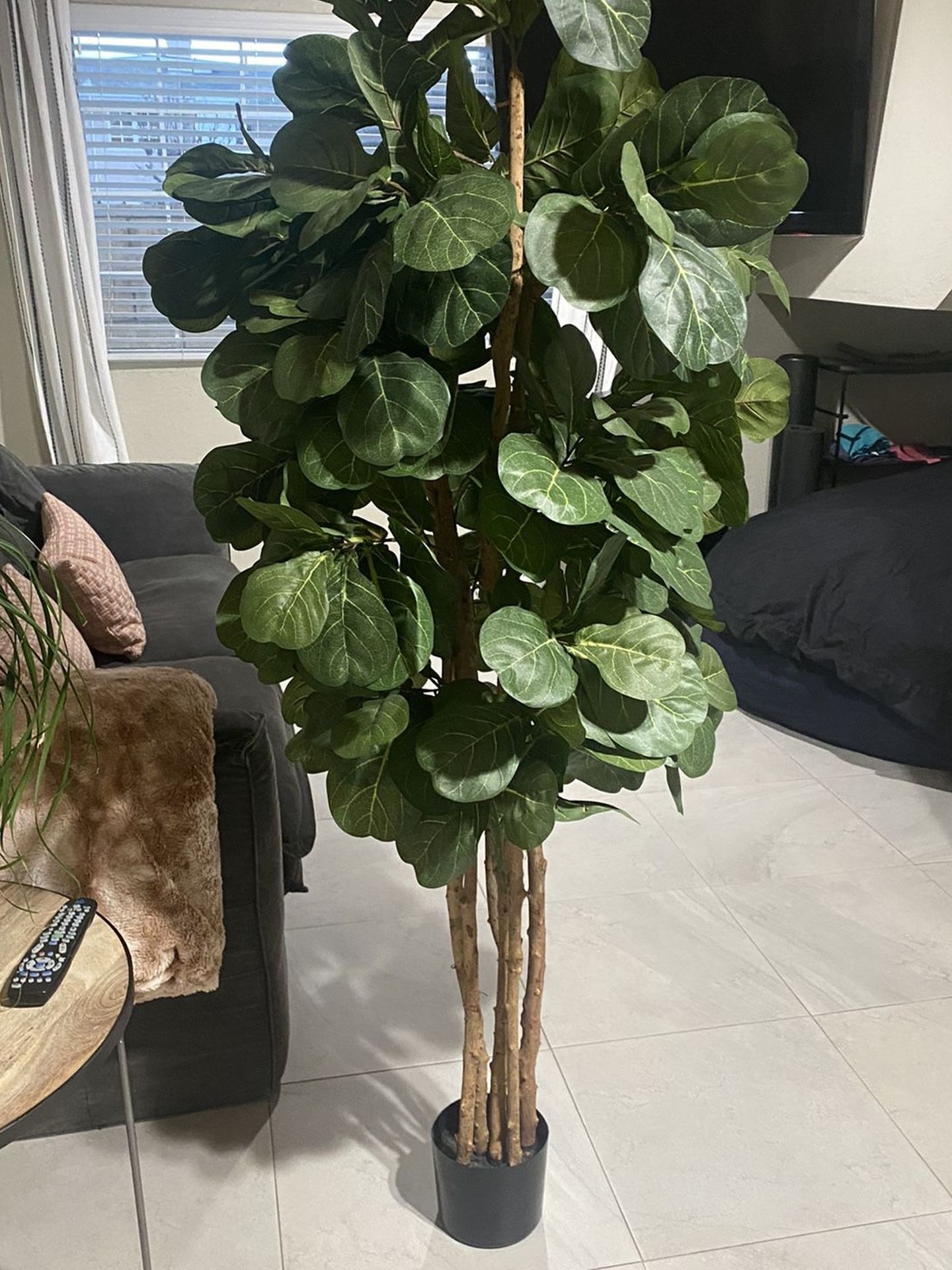 Fiddle Fig 6’ Foot Without Planter Great Fake Tree