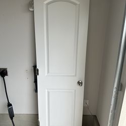 79.5x24 Study Doors