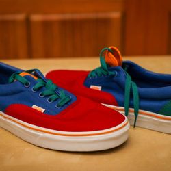 Vans Shoes Sz. 10.5 (limited color) 