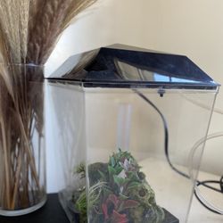 Aquarium Kit LED Lighting Internal Filter 1-Gallon Home Office Desk Betta Tank