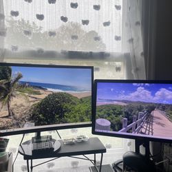 Samsung Curved Monitor +Dell monitor