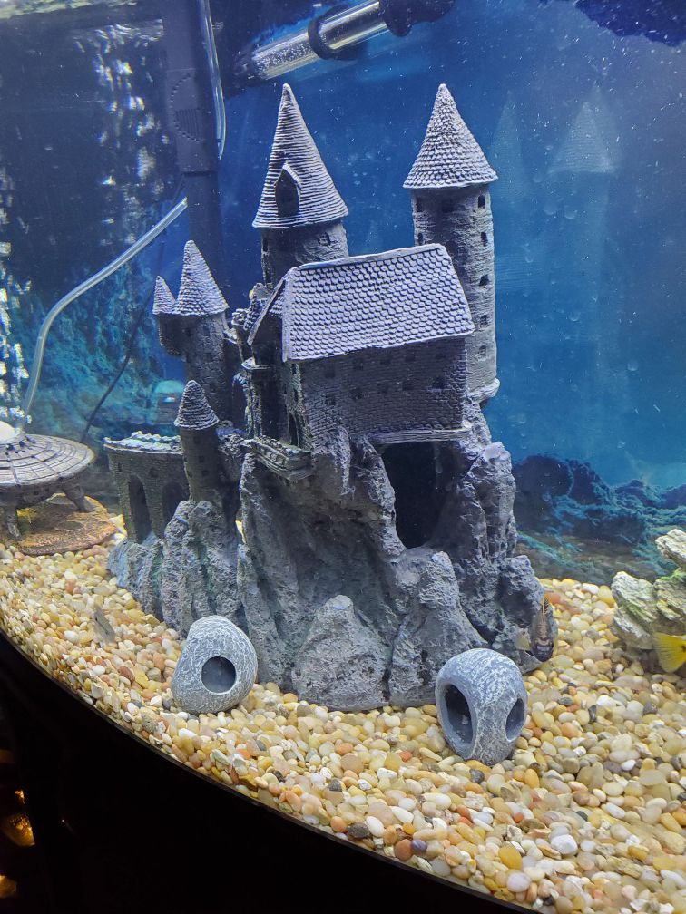 Fish tank decorations