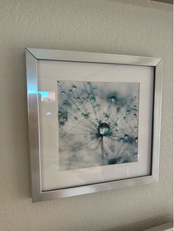 24”x24” nice frame art $40 for both