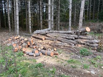 Firewood