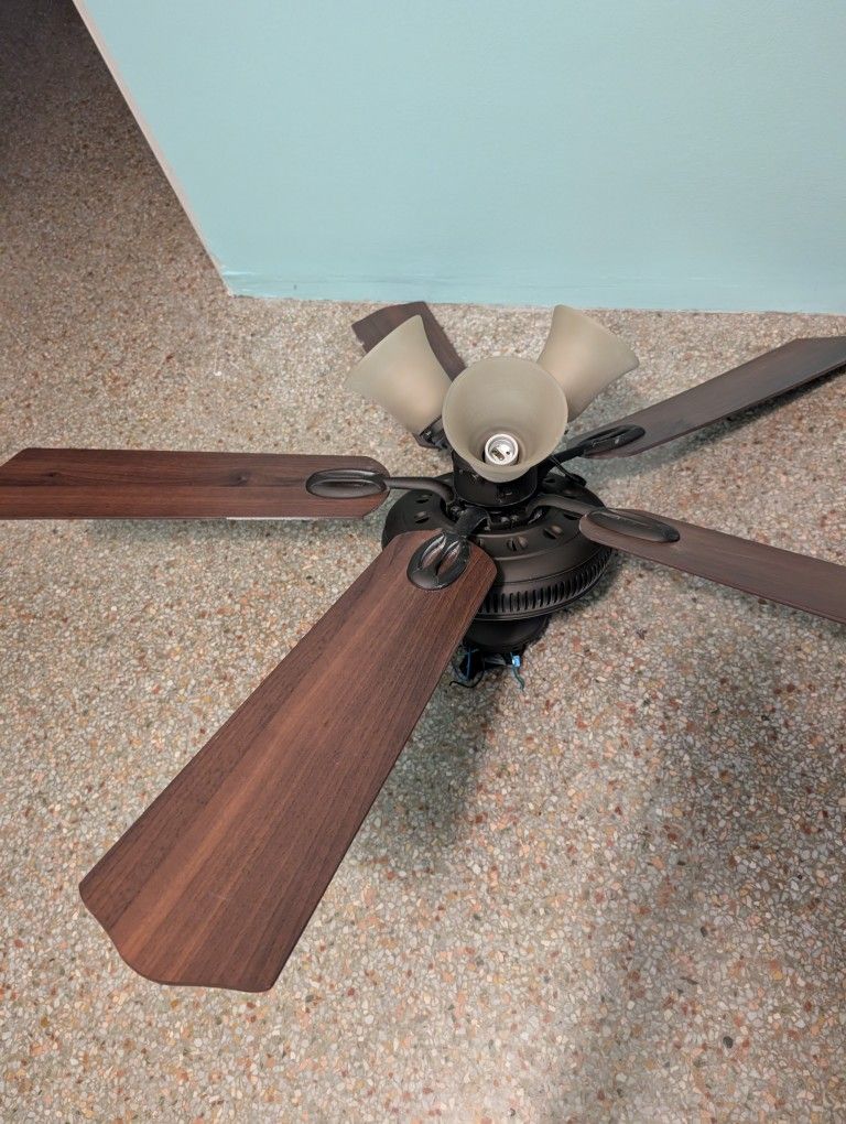 Hampton Bay Ceiling Fan 