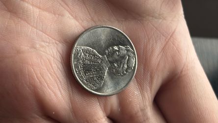 2023 D quarter