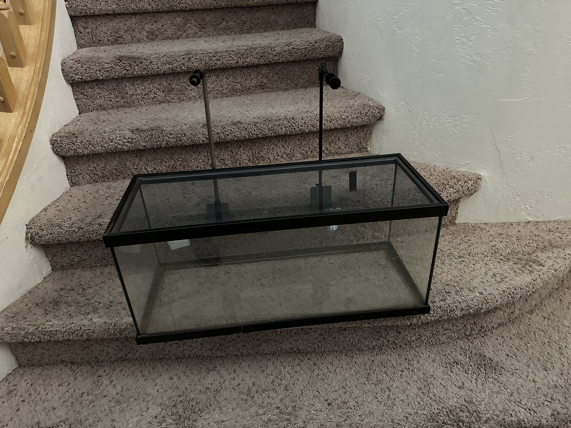 Reptile Glass Cage, Lockable Screen Lid, Removable Lid, Two Adjustable