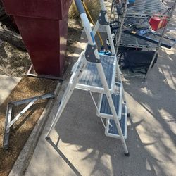 3 step Gorilla ladder.