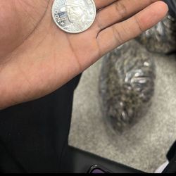 Rarest Coins Worth Alot 
