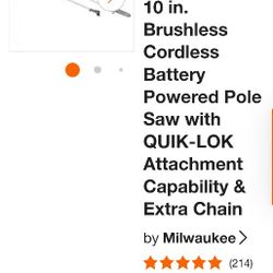 Chain Saw Pole With Quick Lock