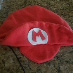 Mario bros hat