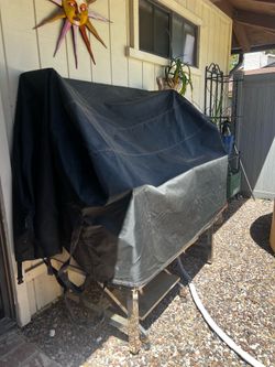 Large Dog Wash Station