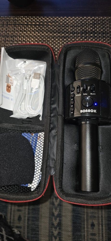 Karaoke Microphone 