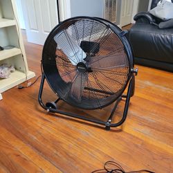 New Big Fan
