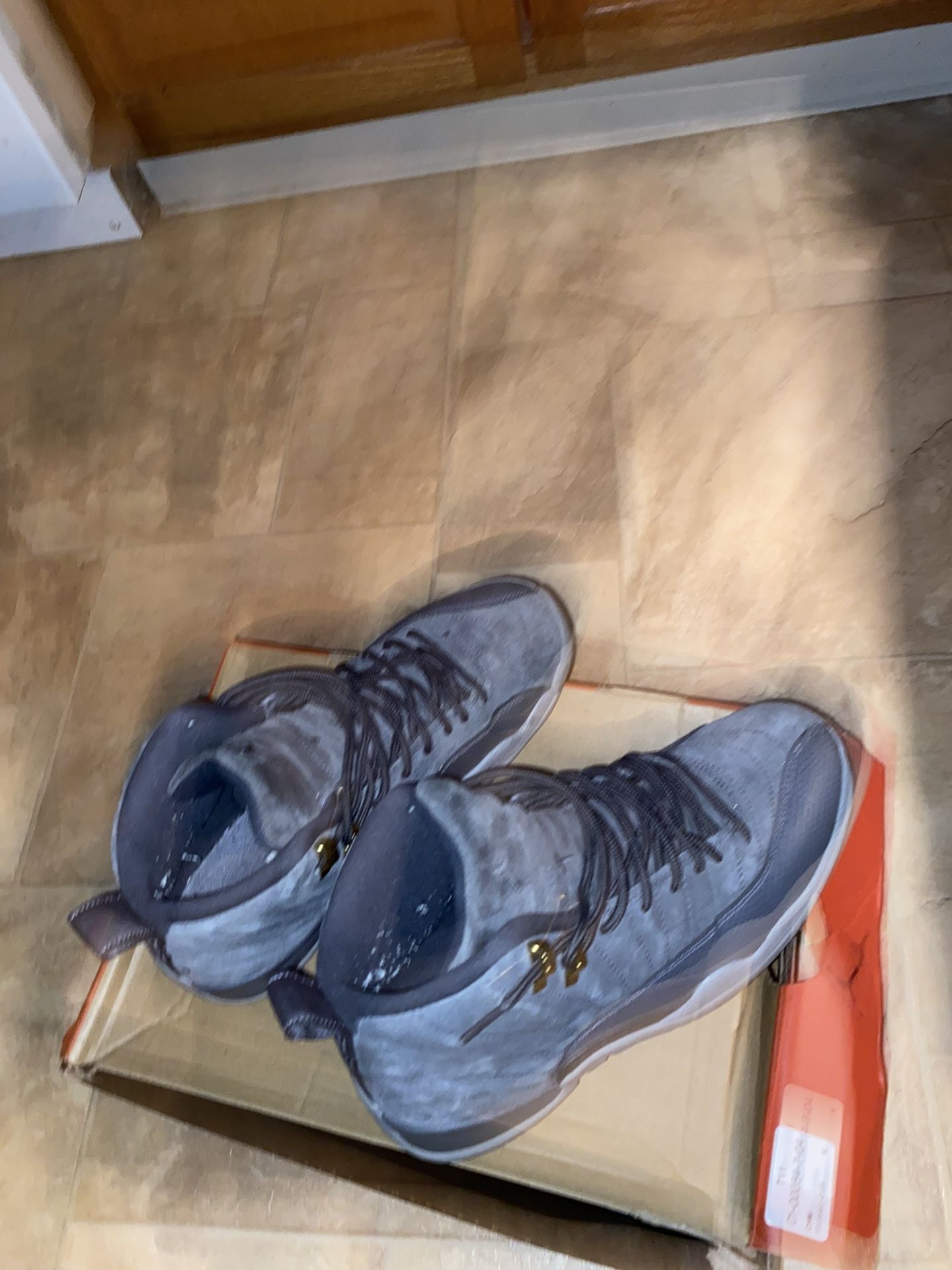Jordan 12 Grey