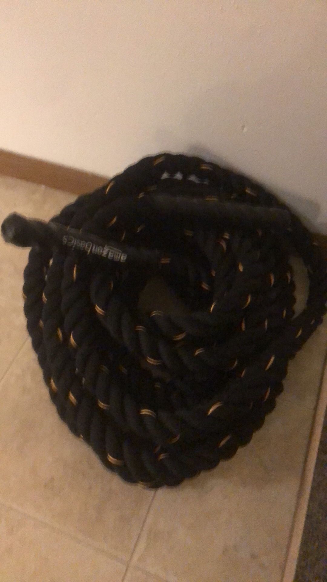 30ft AmazonBasic Workout Rope