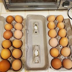Free range eggs no GMO $4.50