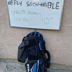 Golf bag bolsa para palos de Golf 