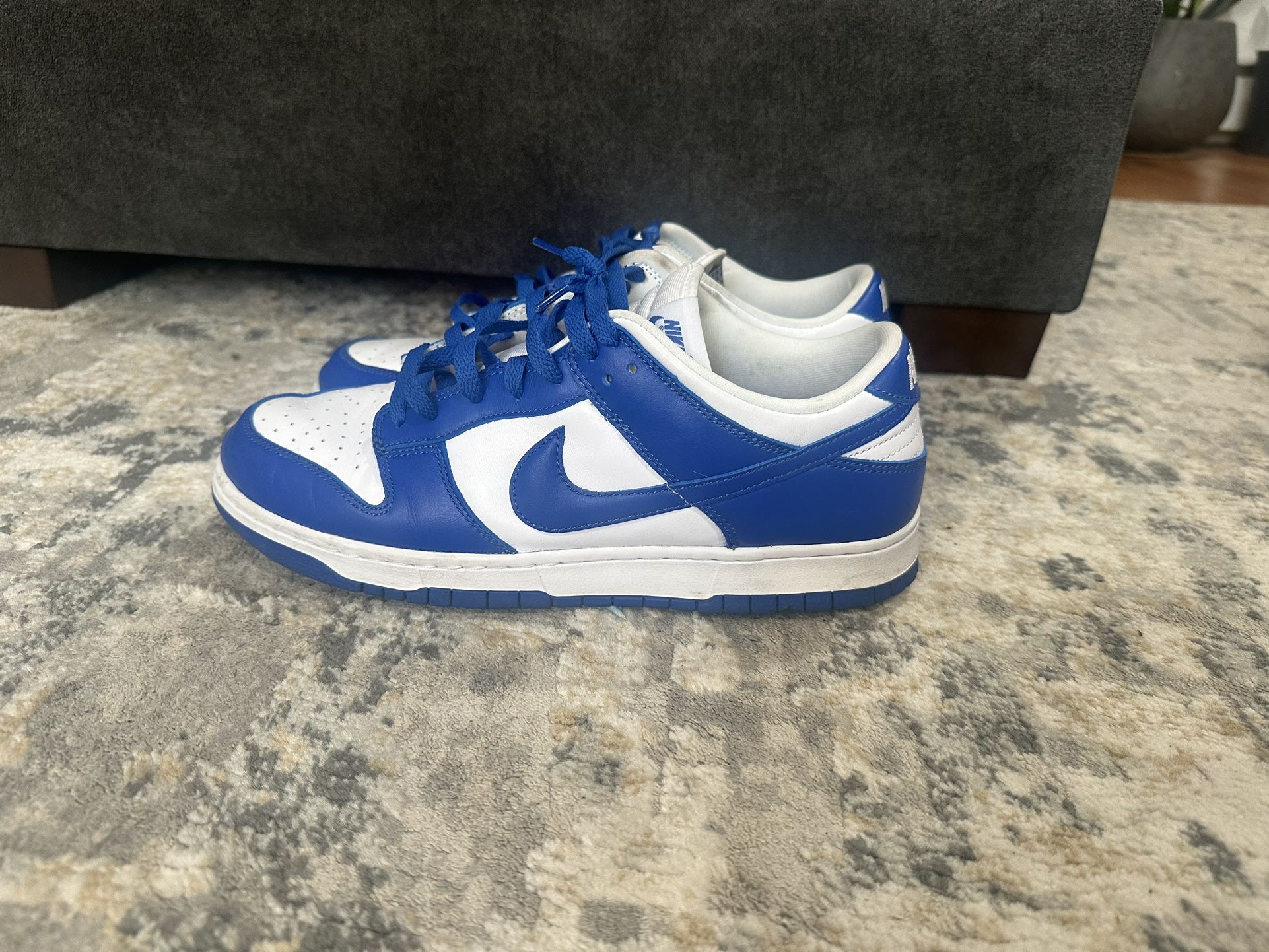 Nike Dunk Low SIZE 11