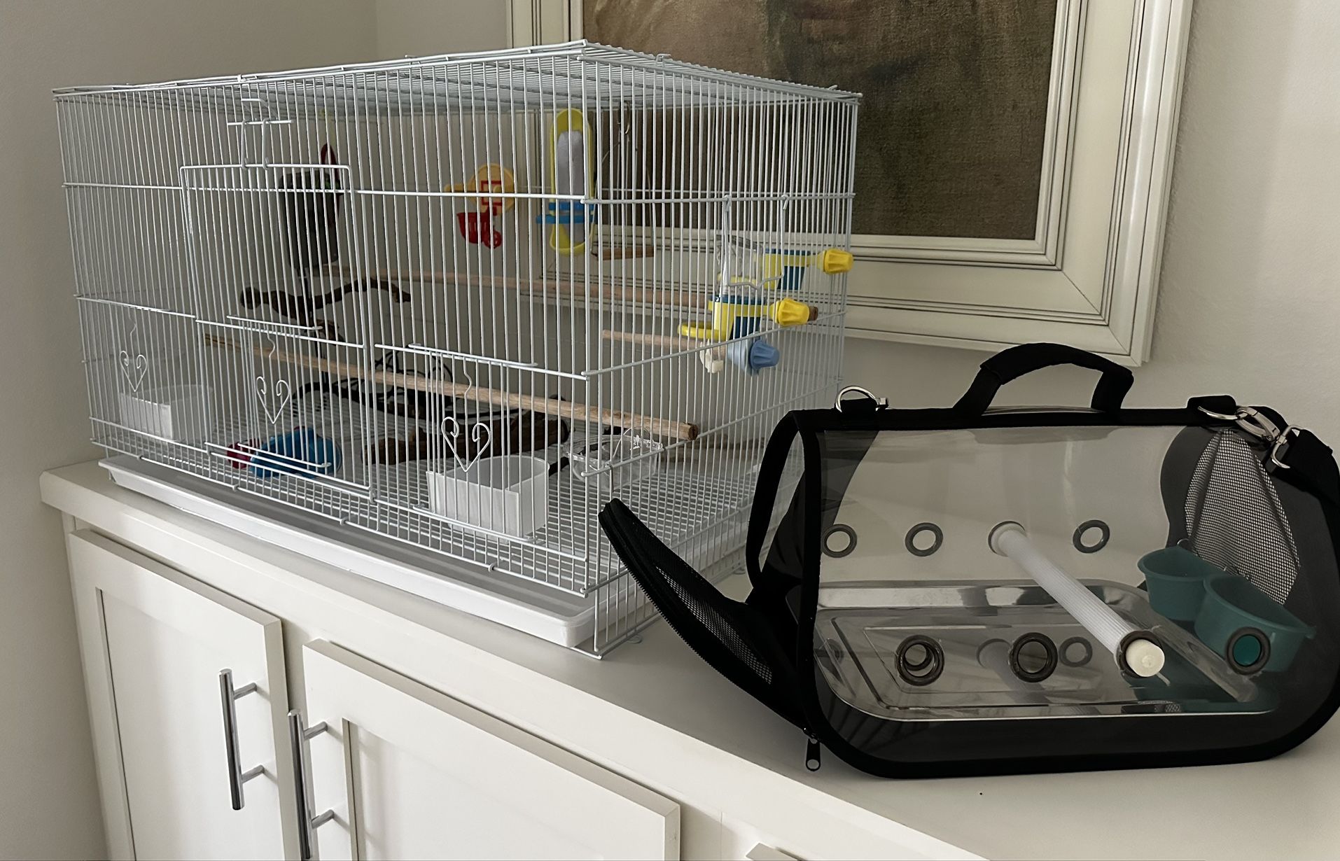 Everything Needed For Small To Medium Bird