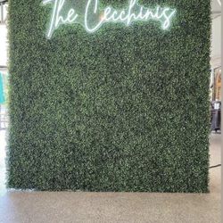 FOR SALE - Grass Wall for Weddings / Showers - FOR SALE
