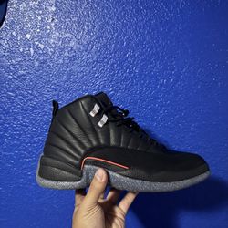 Jordan 12s DS 