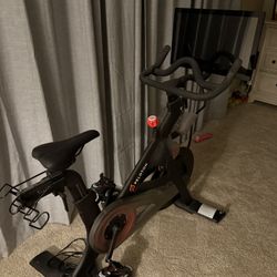 Peloton 