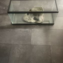 75 Gallon ? Fish Tank  , Decor Included 