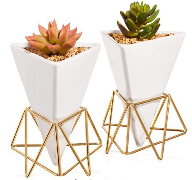 Classy White/Gold Ceramic Planters to Play Up Your Living Space!