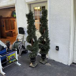 Nice Topiaries For Sale 