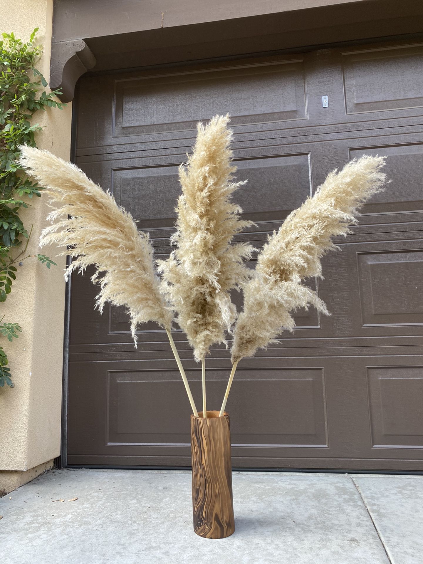 AVAILABLE: Pampas Grass