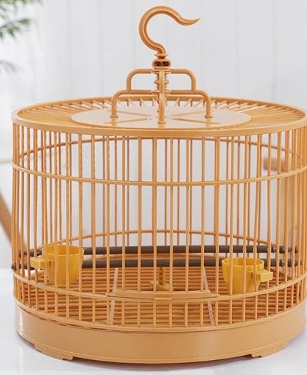 Small Cage For Small Bird