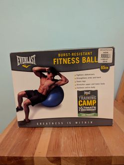 Everlast 65cm/26inch Burst-Resistant Fitness Ball - Blue