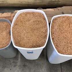 Sawdust
