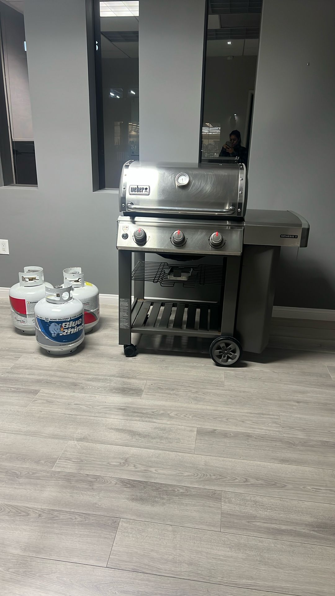 Weber Genesis 2
