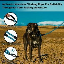 Heavy Duty Dog Leash 6 Feet 