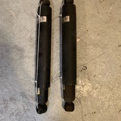 Pair of rear shock absorbers 2015-2020 F150