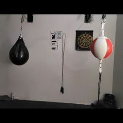 Aqua Bag And Double End Bag For Boxing 