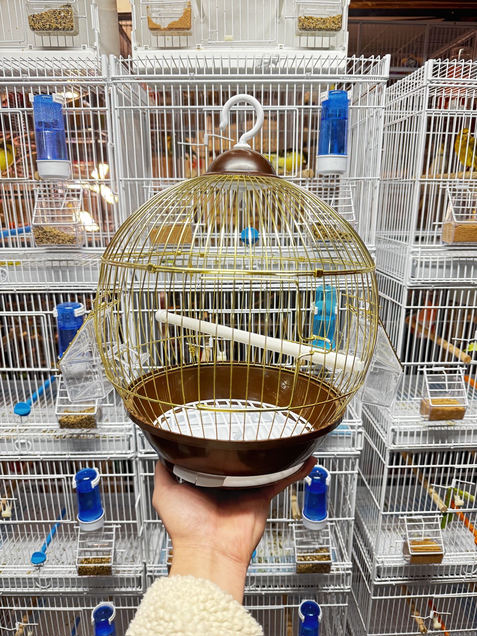 Bird Cage