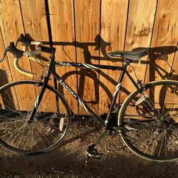 Fixie/Single Speed Bike