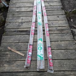 Bamboo Stacks 6 Pack 