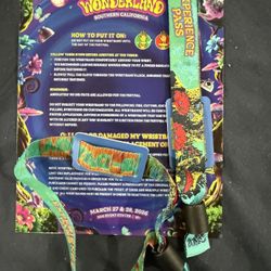 Beyond Wonderland 2-day Ga Tickets 